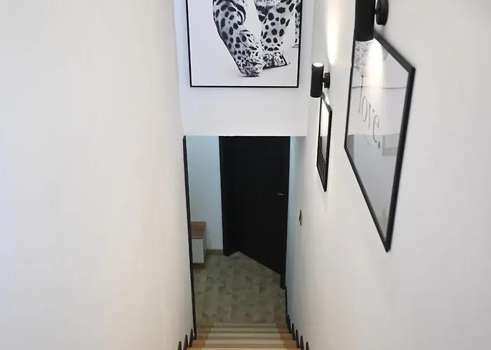 Bed & Breakfast барбел